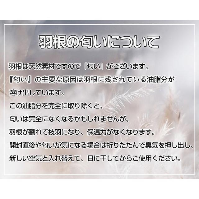 氷点下25度対応 シュラフ 冬用 フェザー ダウン 洗える < レジャー/スポーツ  氷点下25度対応 シュラフ 冬用 フェザー ダウン 洗える < レジャー/スポーツの