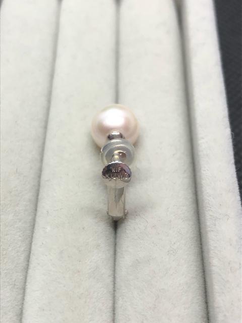  K14WG zCgS[h p[ CO Ў̂