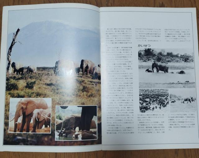 1980wەxfptbgē@ґU@O@AtJETEh@AtJToi@AtJ  zr[ 