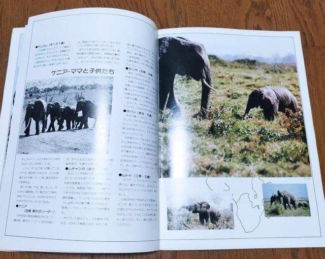 1980wەxfptbgē@ґU@O@AtJETEh@AtJToi@AtJ  zr[ 