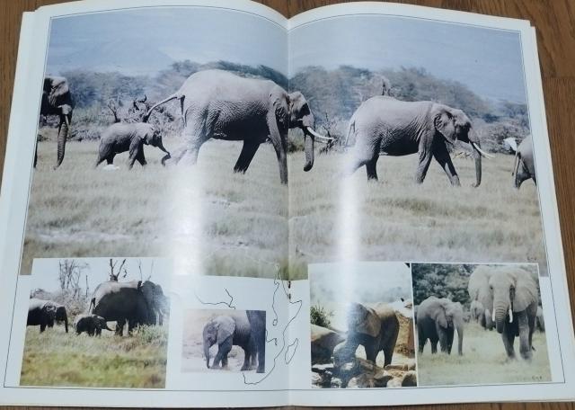 1980wەxfptbgē@ґU@O@AtJETEh@AtJToi@AtJ  zr[ 