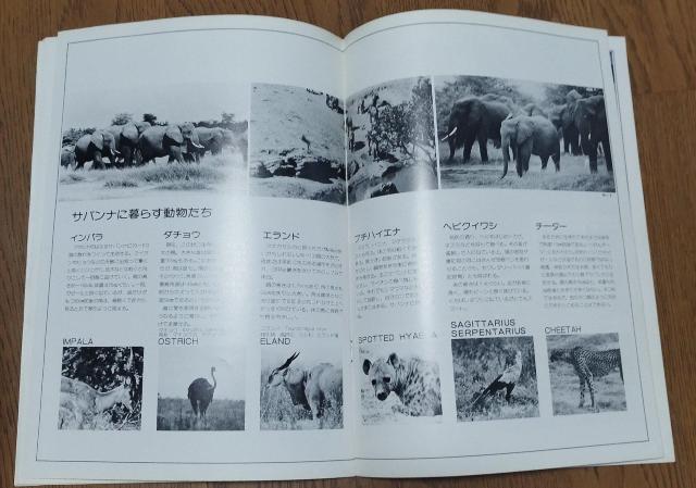 1980wەxfptbgē@ґU@O@AtJETEh@AtJToi@AtJ  zr[ 