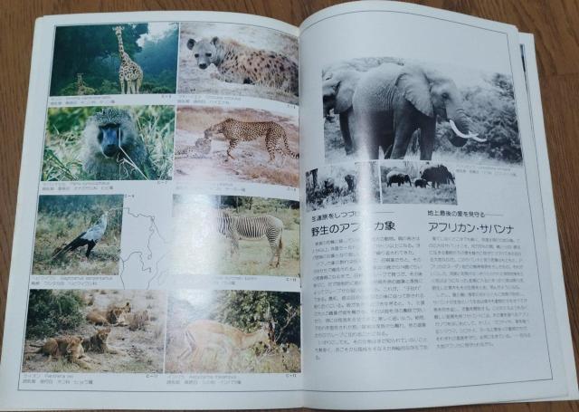 1980wەxfptbgē@ґU@O@AtJETEh@AtJToi@AtJ  zr[ 