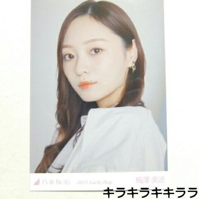 sNewtT؍46/~Vg2025N*Lucky Bag[ʐ^]   ^gObY 