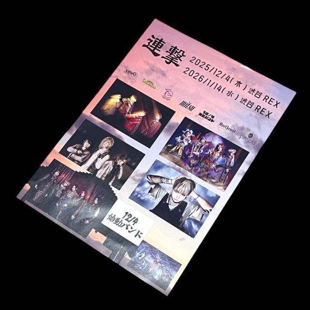 ���B�W���A���n��V�n���C�x���g�n�t���C���[/4���Z�b�g �� �z�r�[�� 