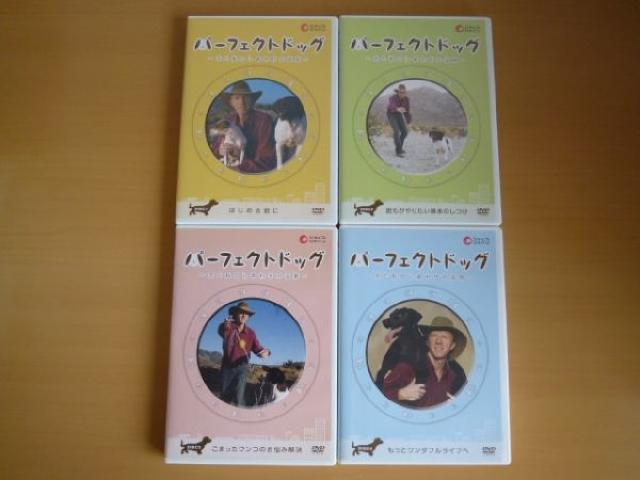 DVD p[tFNg hbO S4Zbg SHOP JAPAN   ybg/|/| 