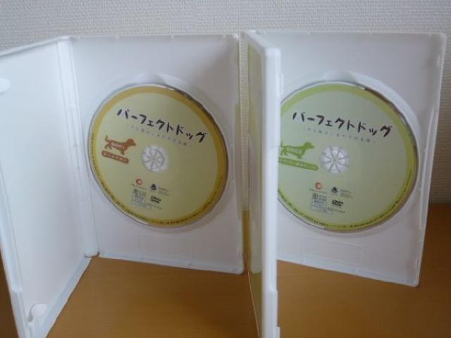 DVD p[tFNg hbO S4Zbg SHOP JAPAN  ybg/|/| 