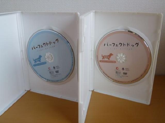 DVD p[tFNg hbO S4Zbg SHOP JAPAN  ybg/|/| 