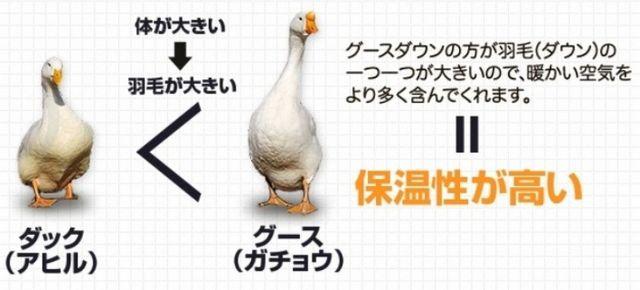 n̕..O[X_E90̃Lg HтӂƂ@  CeA/Ct 