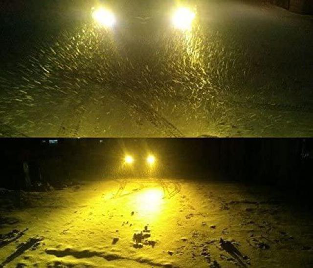 LEDフォグランプ H3 黄色 イエロー 60W 1200LM 3000K 12V/24V兼用 無極性  2本セット < 自動車/バイク LEDフォグランプ H3 黄色 イエロー 60W 1200LM 3000K 12V/24V兼用 無極性  2本セット < 自動車/バイク