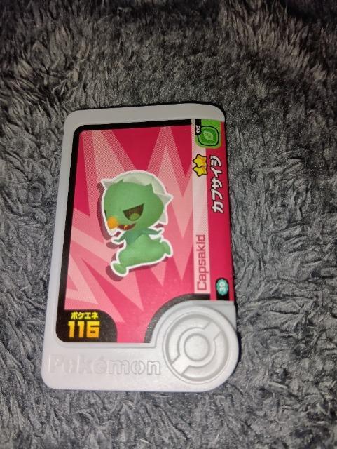 ポケモンフレンダ*カプサイジ*未使用 < トレーディングカード  ポケモンフレンダ*カプサイジ*未使用  < トレーディングカードの