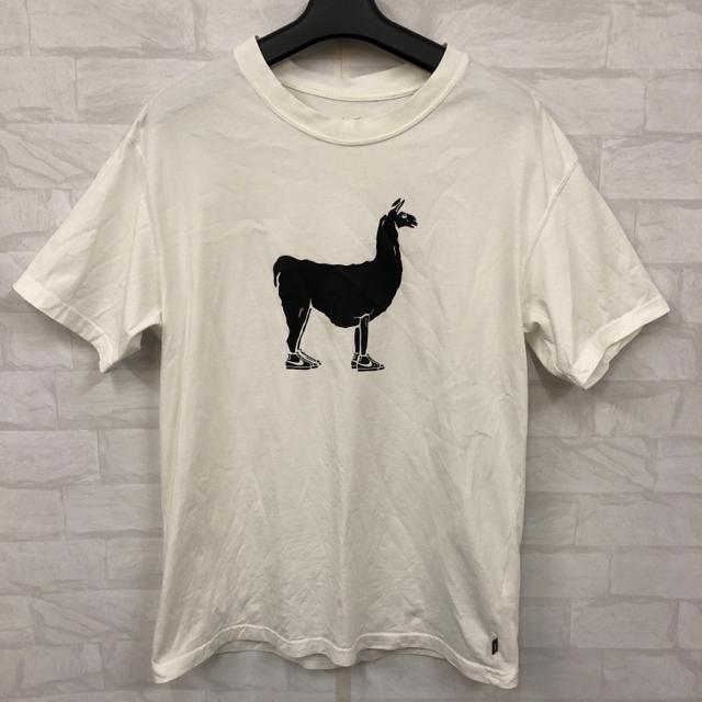 ���� NIKE SB �i�C�L ����T�V���c S  �� �u�����h�� 