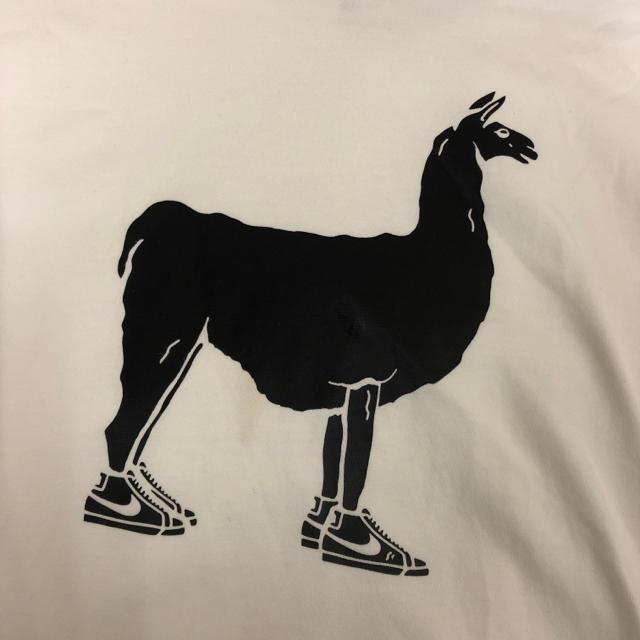 ���� NIKE SB �i�C�L ����T�V���c S �� �u�����h�� 