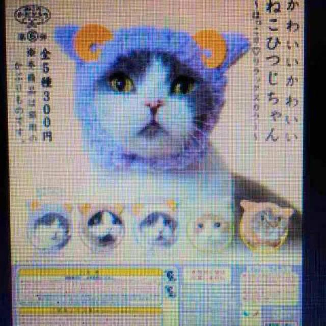 JvZgCE权NuEL̂Ԃ蕨BuEЂ   ybg/|/| 