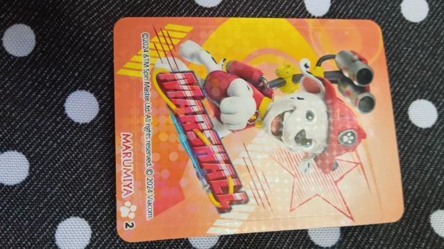 パウ・パトロールシール < ホビー パウ・パトロールシール < ホビーの