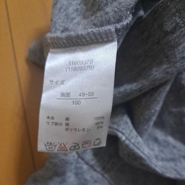 Xk[s[̃s(100cm)  LbY/xr[ 