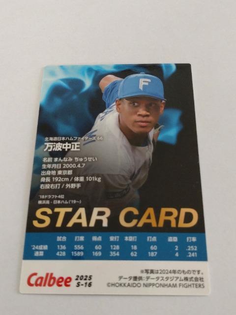 Jr[v싅`bvX2025 1e S-16 kC{nt@C^[Y 66 gI STAR CARD  g[fBOJ[h 