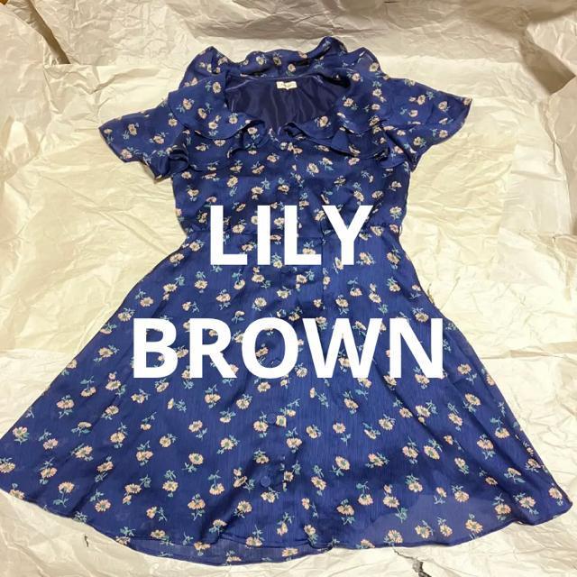 yLily Brown / [uEzԕ / OJ s[X F  ~jXJ[g   uh 