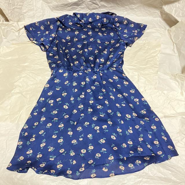 yLily Brown / [uEzԕ / OJ s[X F  ~jXJ[g  uh 