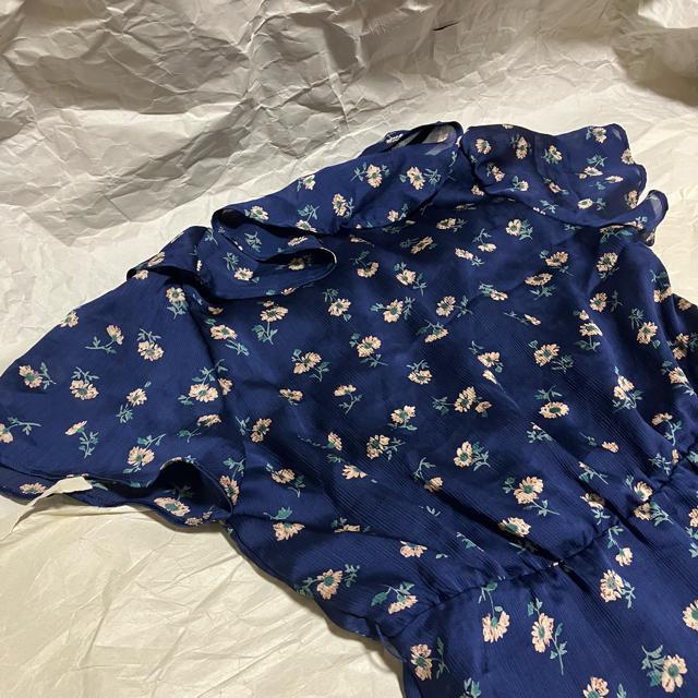 yLily Brown / [uEzԕ / OJ s[X F  ~jXJ[g  uh 