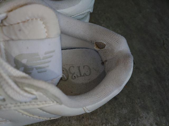 new balance(j[oX)CT302CLA WHITE   24cm    Xj[J[  uh 