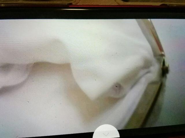 キディフェイスブックがま口リボンヒョウ柄 < アニメ/コミック/キャラクター  キディフェイスブックがま口リボンヒョウ柄 < アニメ/コミック/キャラクターの