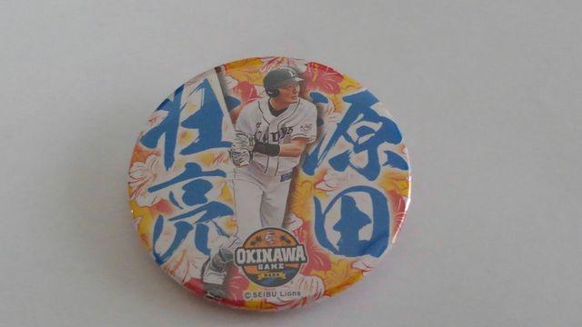 ʐCIY2019  vC[YʃobW 6 csI   W[/X|[c 