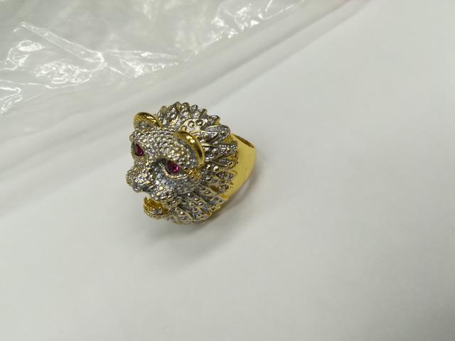 �Y��@���C�I�������O�@ �� �j���A�N�Z�T���[/���v�� 