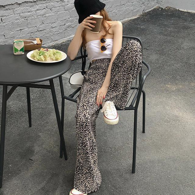  Vi  v[cChpc ăfB[X  t@bV 