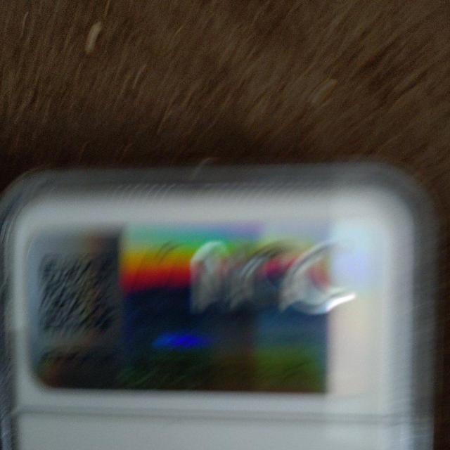 ☆1877年 ゴシック・フローリン銀貨 ビクトリア女王 【NGC鑑定品】 < ホビー  ☆1877年 ゴシック・フローリン銀貨 ビクトリア女王 【NGC鑑定品】 < ホビーの