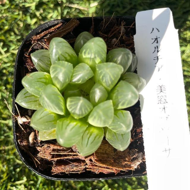 nI`A Iuc[T nIVA  c Dt Iuc[T A   ybg/|/| 