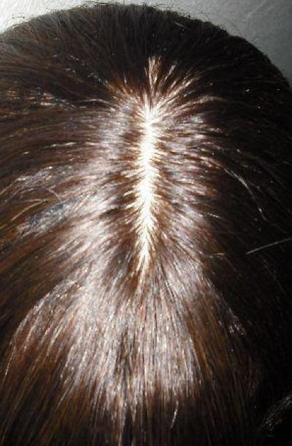 Vi@lс@ZbgX@EBbO@ڕt@X[p[O@lTCY