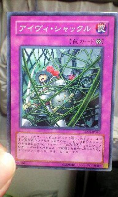 遊戯王【罠アイヴィ・シャックル】 < トレーディングカード  遊戯王【罠アイヴィ・シャックル】  < トレーディングカードの