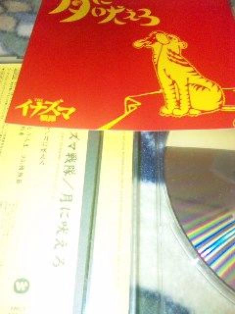 5ȓCD THECiY} ɖi XebJ[  ^gObY 