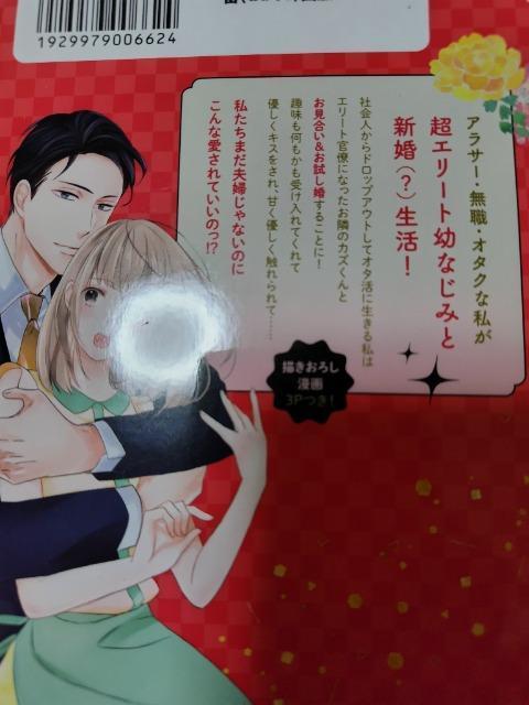 TL☆お見合い相手はSSSレア!?29歳家事手伝い、スパダリ幼なじみとお試し婚始めました/南香かをり < アニメ/コミック/キャラクター TL☆お見合い相手はSSSレア!?29歳家事手伝い、スパダリ幼なじみとお試し婚始めました/南香かをり < アニメ/コミック/キャラクターの