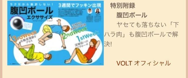 VOLT雑誌付録★オリジナル腹凹ボール★ < インテリア/ライフ  VOLT雑誌付録★オリジナル腹凹ボール★ < インテリア/ライフの