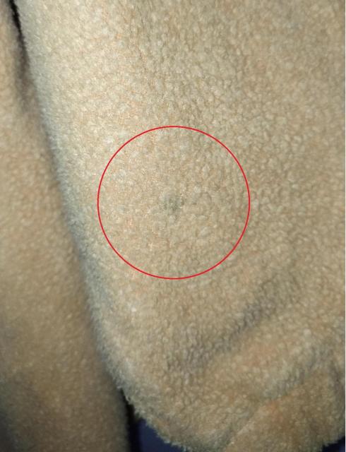 120@v[@n[tWbvt[X@CG[n@j  LbY/xr[ 