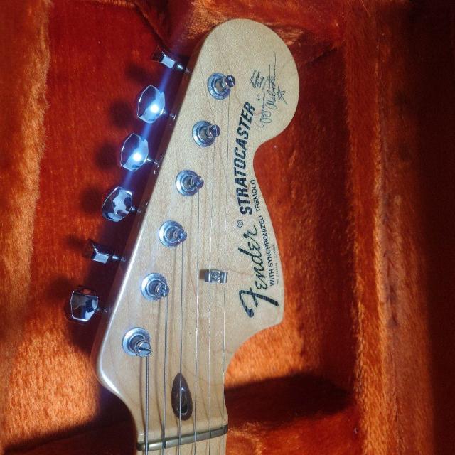 �C���O���F�C�}�����X�e�B�[��ModelFenderUSA�X�g���X�L���X�^�[ �� �Ɠd/AV�� 