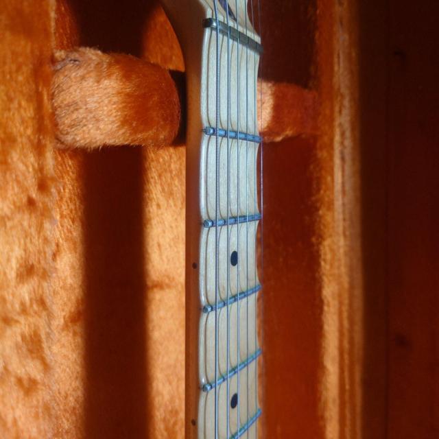 �C���O���F�C�}�����X�e�B�[��ModelFenderUSA�X�g���X�L���X�^�[ �� �Ɠd/AV�� 