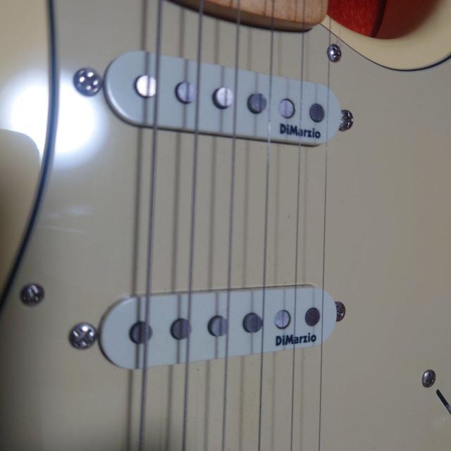 �C���O���F�C�}�����X�e�B�[��ModelFenderUSA�X�g���X�L���X�^�[ �� �Ɠd/AV�� 