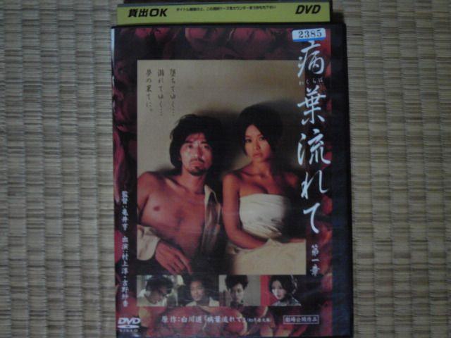 at  gэ   CD/DVD/rfI 