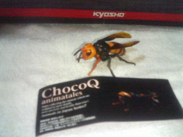 `RQ@Aj}eCY7  IIXYo`  RE̖   zr[ 