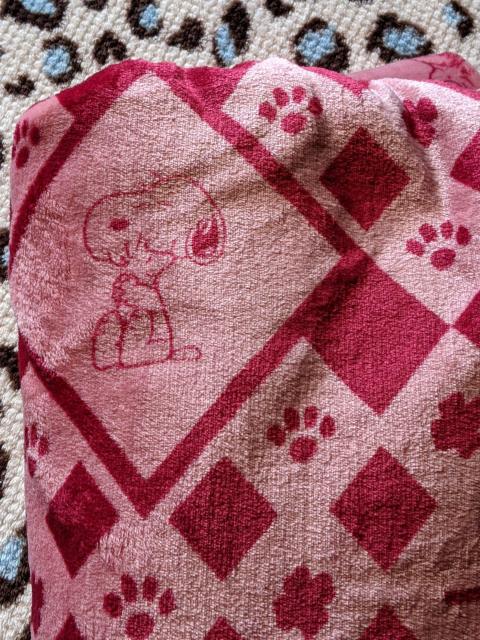 Xk[s[ ӂӂѕz BIGTCY  Aj/R~bN/LN^[ 