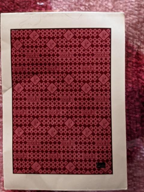 Xk[s[ ӂӂѕz BIGTCY  Aj/R~bN/LN^[ 