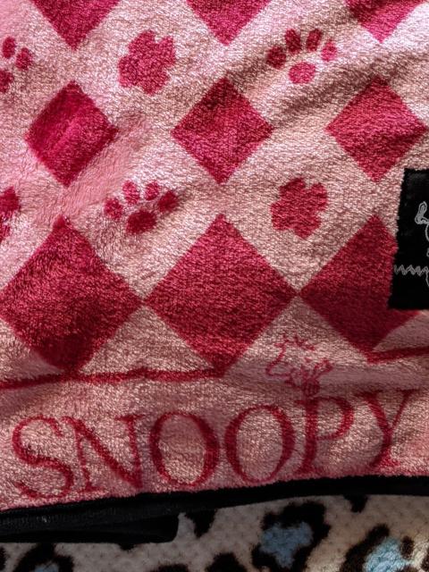 Xk[s[ ӂӂѕz BIGTCY  Aj/R~bN/LN^[ 