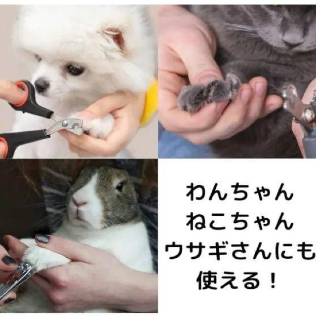 ybglCOC_[ L̑ ͂ ybgpi ߂΂  ybg/|/| 