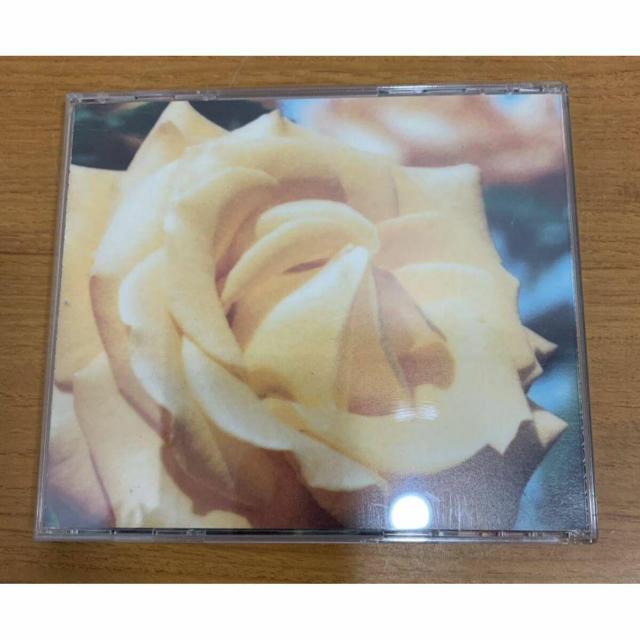 yzglobe Relation S11  ^gObY 