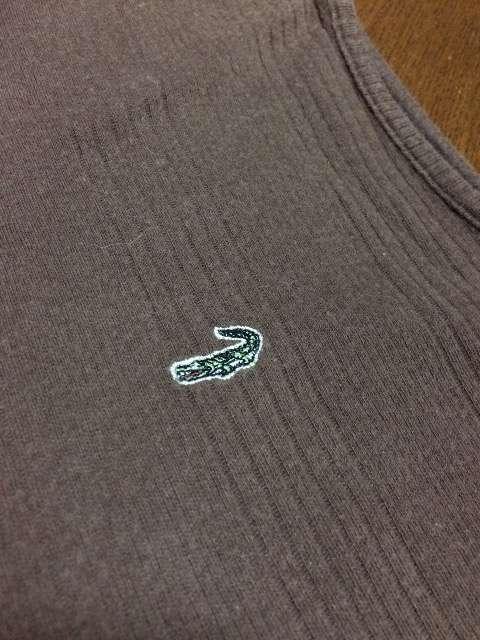 yzCROCODILENR_CuEXLbp[  t@bV 