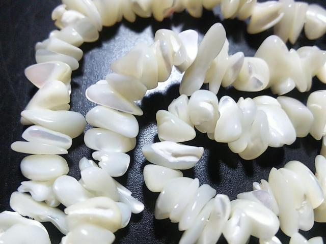 �V�R�΁��l�n�o�@������@�P�A �� �����A�N�Z�T���[/���v�� 