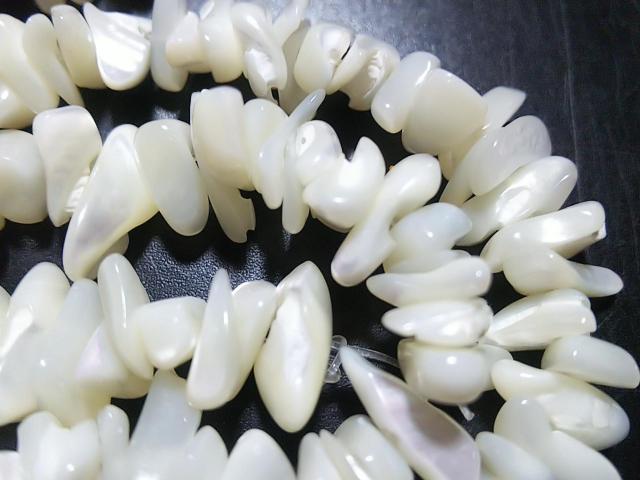 �V�R�΁��l�n�o�@������@�P�A �� �����A�N�Z�T���[/���v�� 